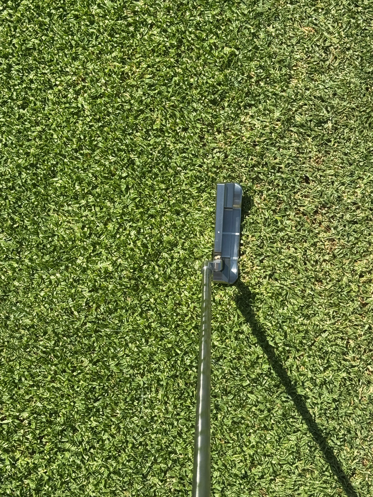 Cali Classic Putter golf club face detail