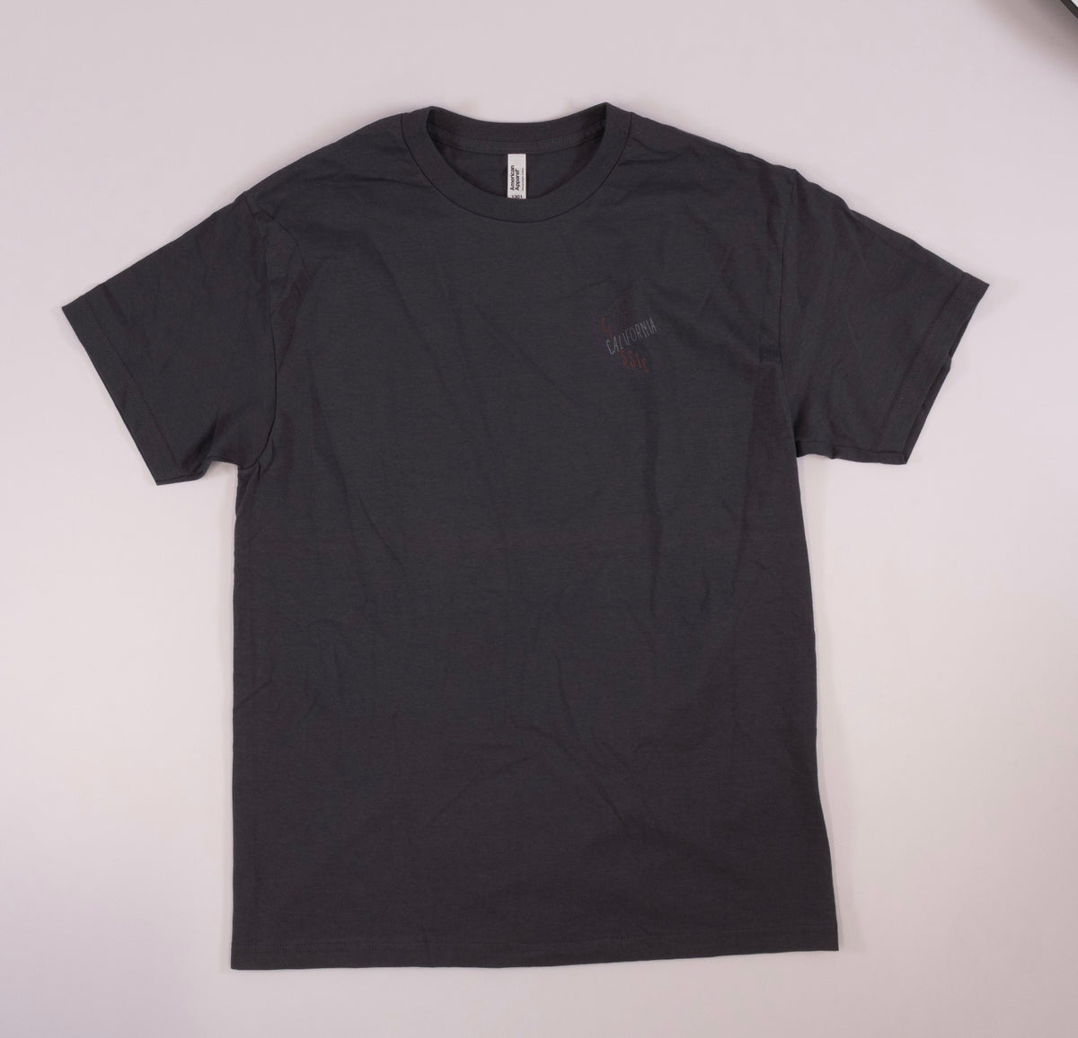 California Classic Daily Tee in grey, back view